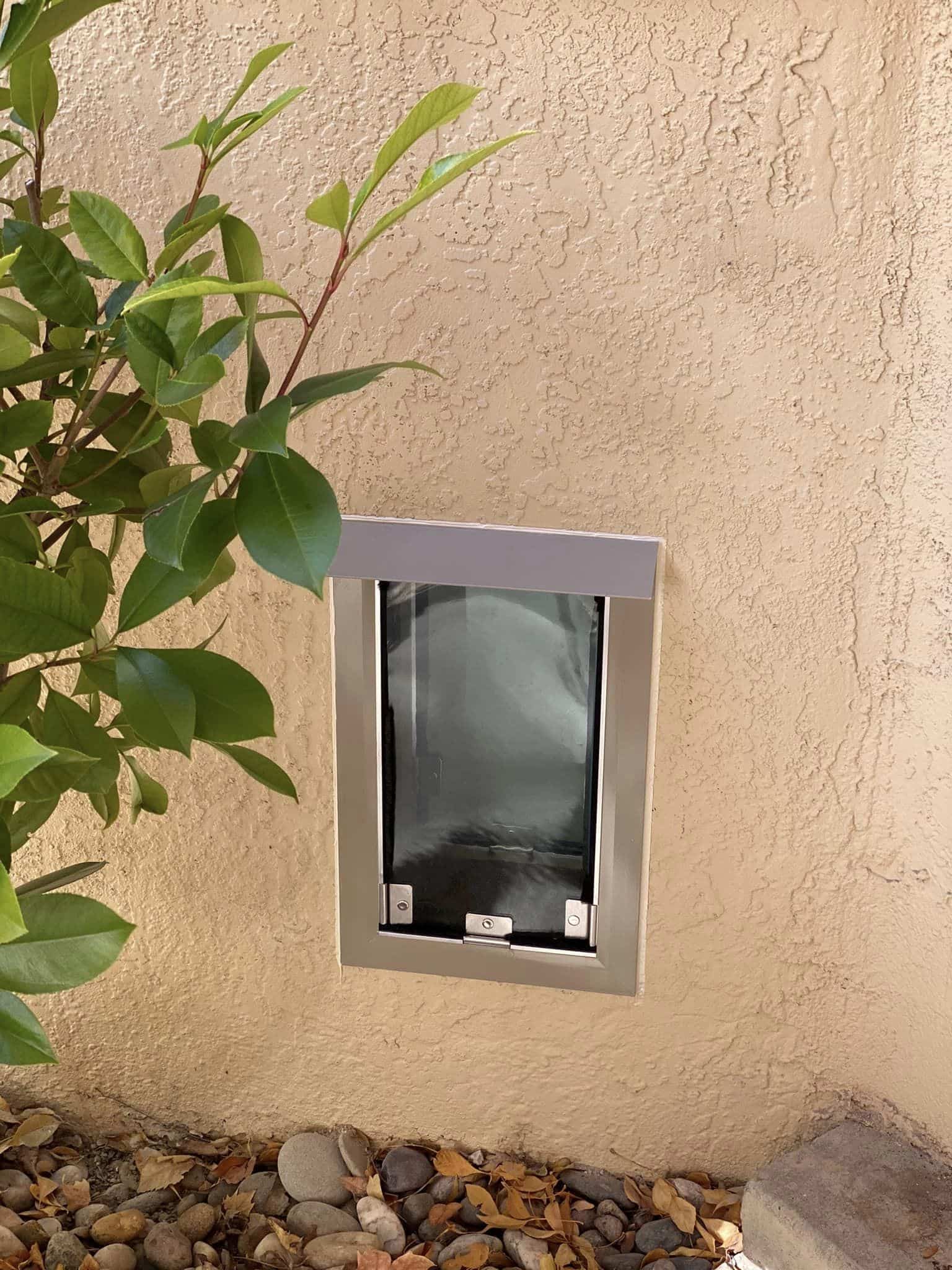 Hale wall-mount pet door with aluminum frame installed in stucco exterior wall